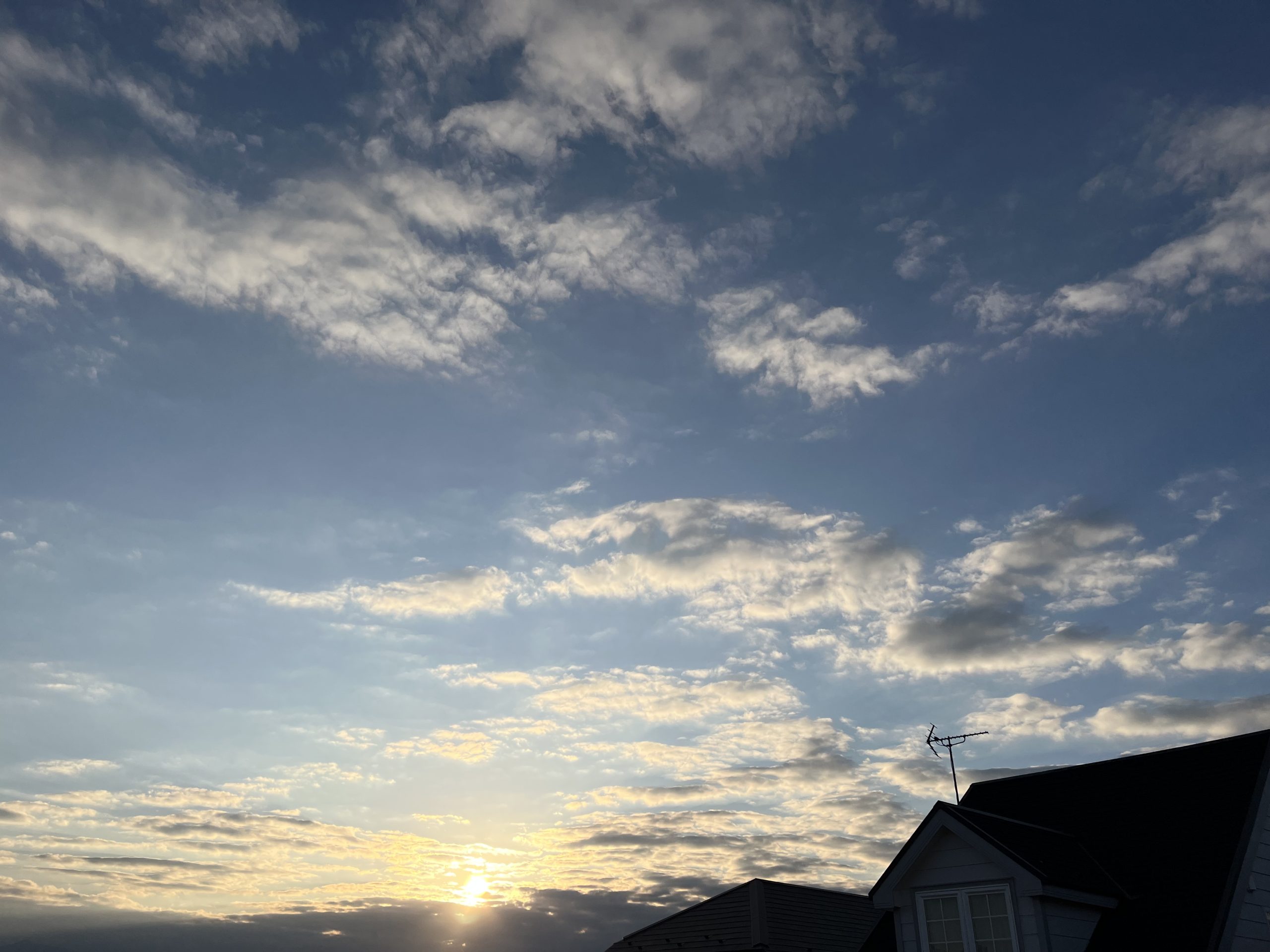 優光泉（ゆうこうせん）和漢とは？断食に最適？【酵素ドリンク】ファスティング特徴とメリットデメリット口コミ購入情報