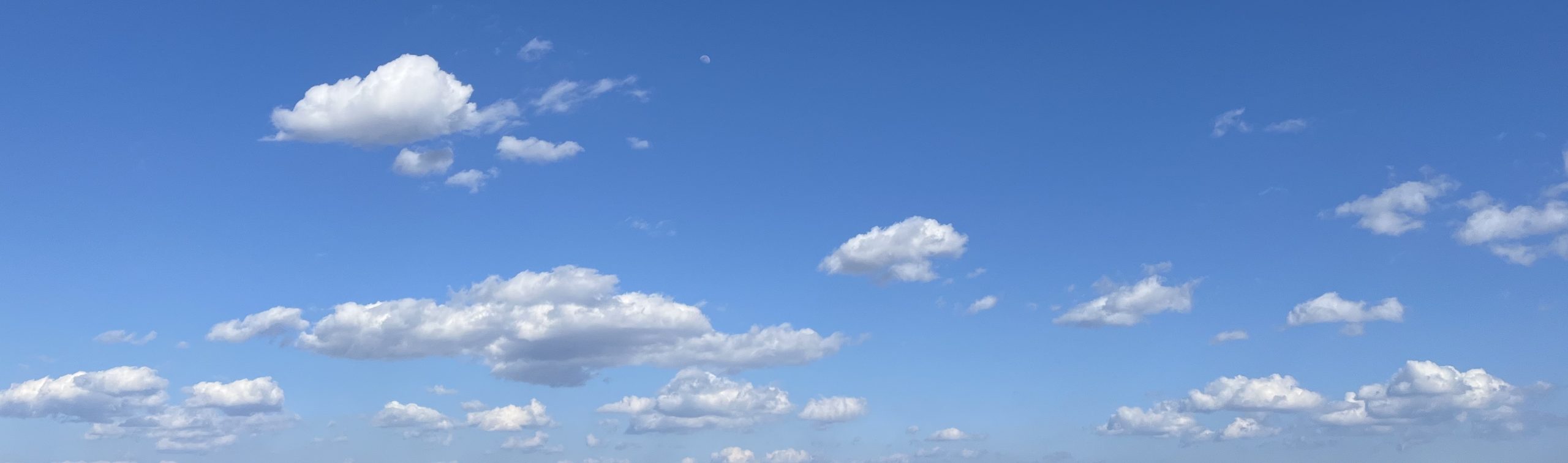 優光泉（ゆうこうせん）和漢とは？断食に最適？【酵素ドリンク】ファスティング特徴とメリットデメリット口コミ購入情報